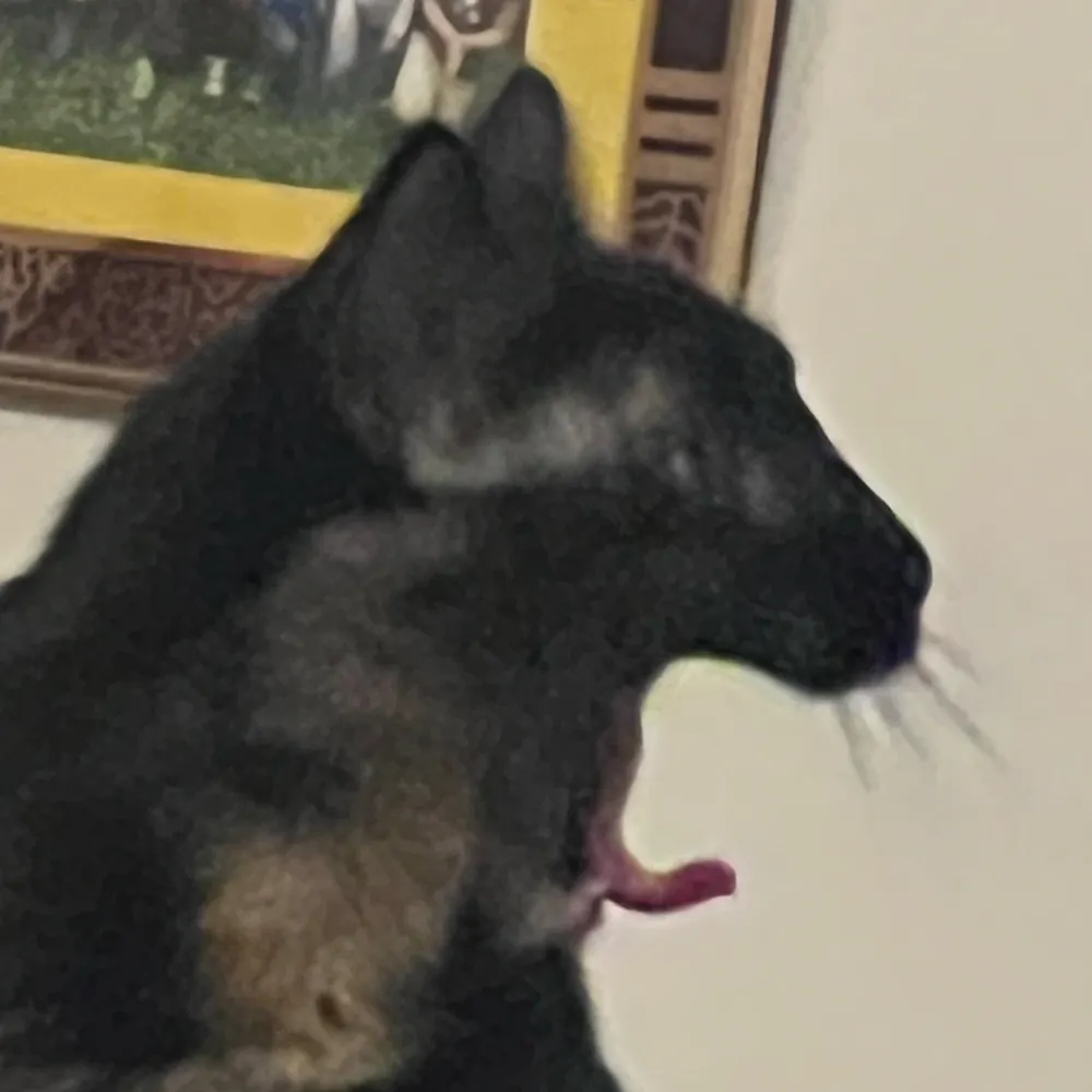 anton1900.bsky.social's profile picture