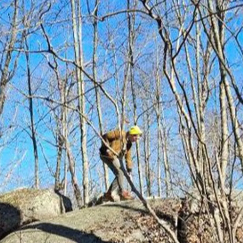 amfmzrn.bsky.social's profile picture