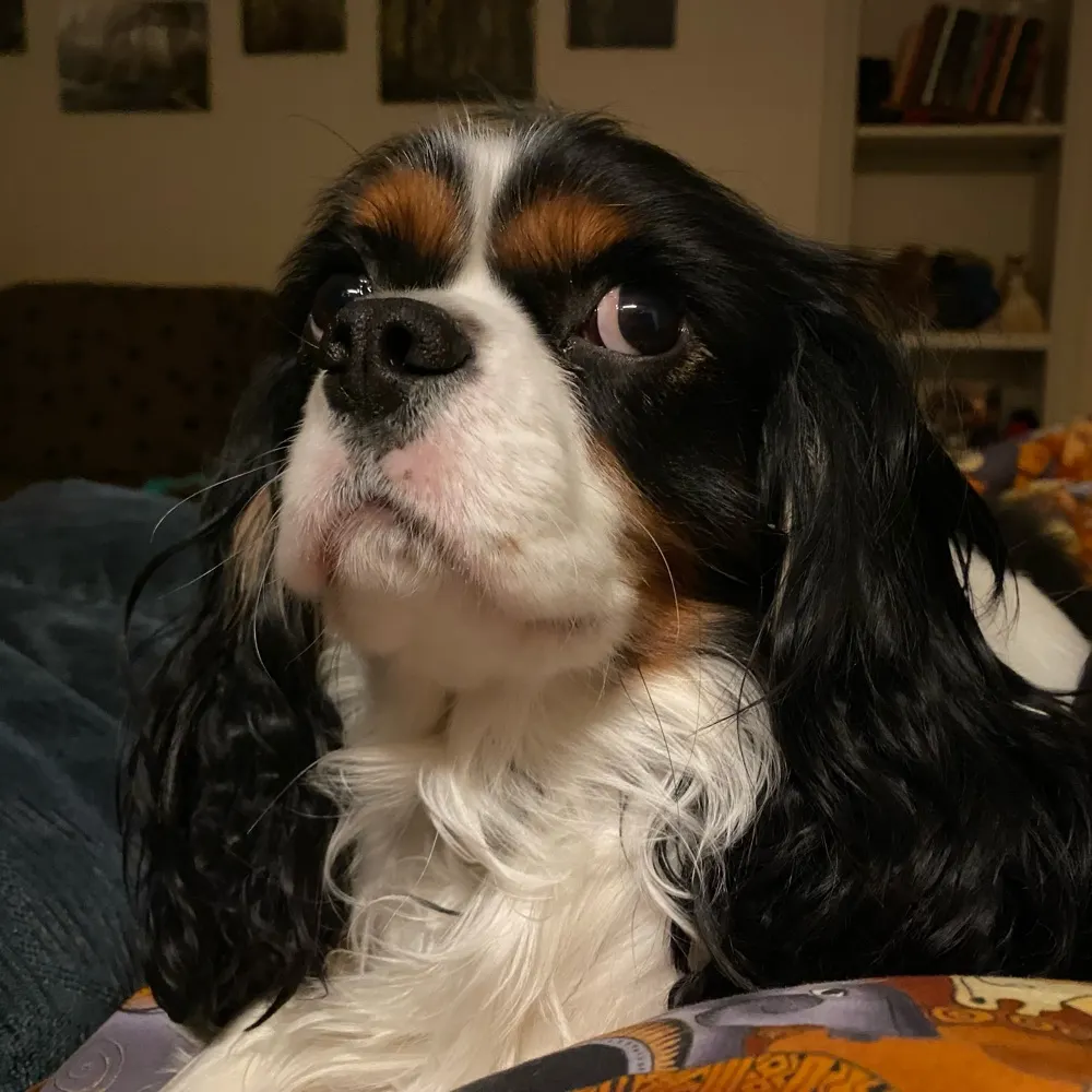 promisetodad.bsky.social's profile picture