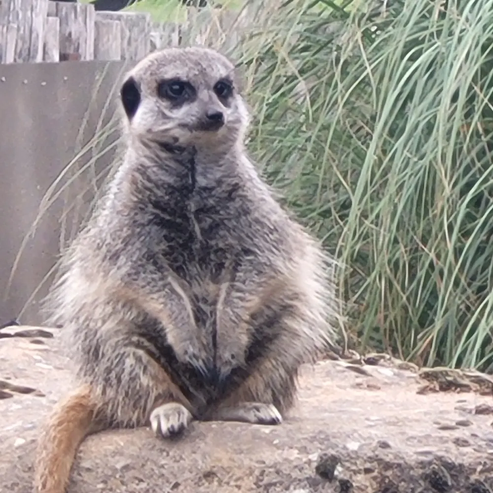 allezandrew.bsky.social's profile picture