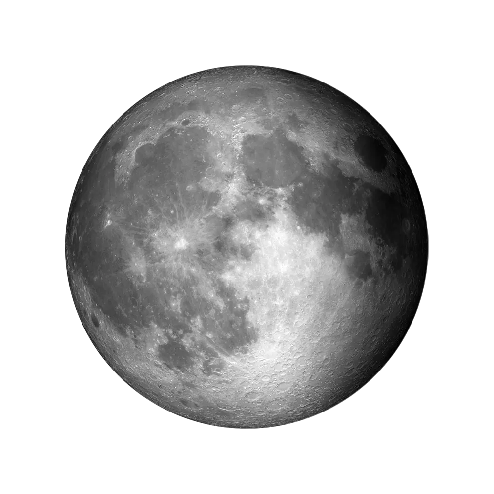 petrachor.bsky.social's profile picture