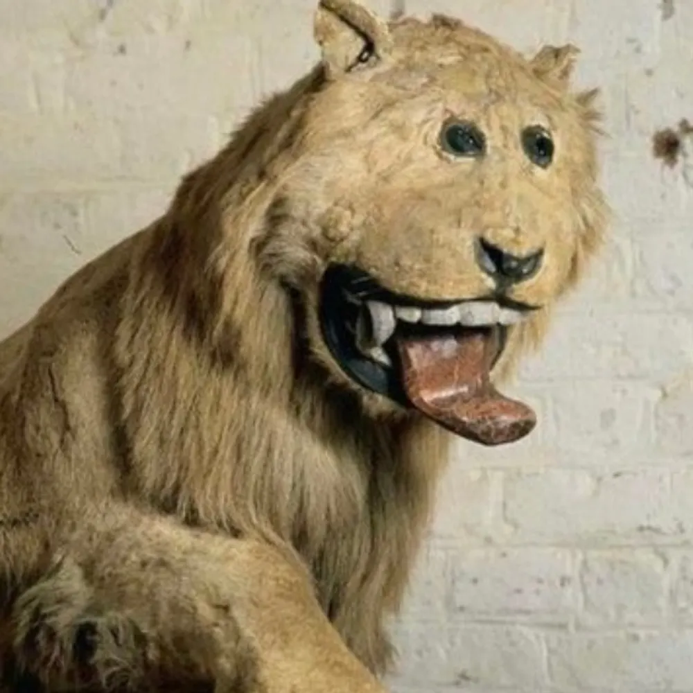 snarge23.bsky.social's profile picture