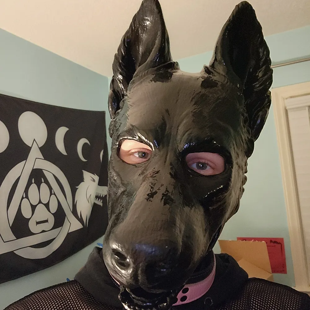 aurisalaxi.bsky.social's profile picture