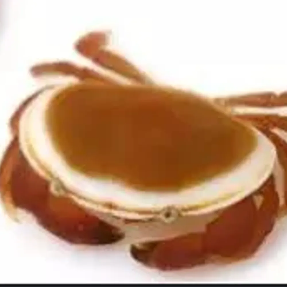 forbiddenpancake.bsky.social's profile picture