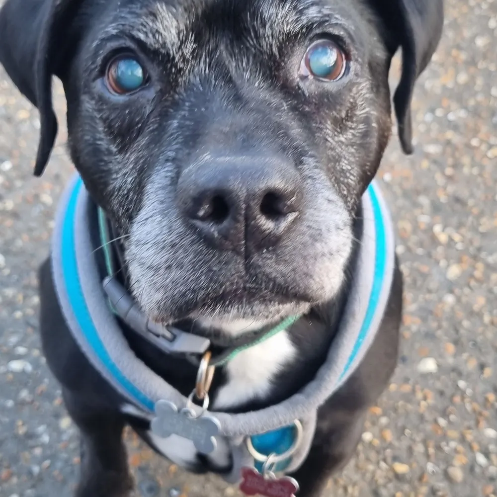 kman68.bsky.social's profile picture