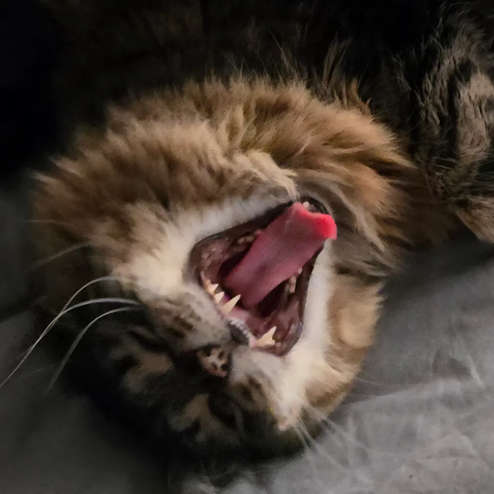 purplereign32.bsky.social's profile picture