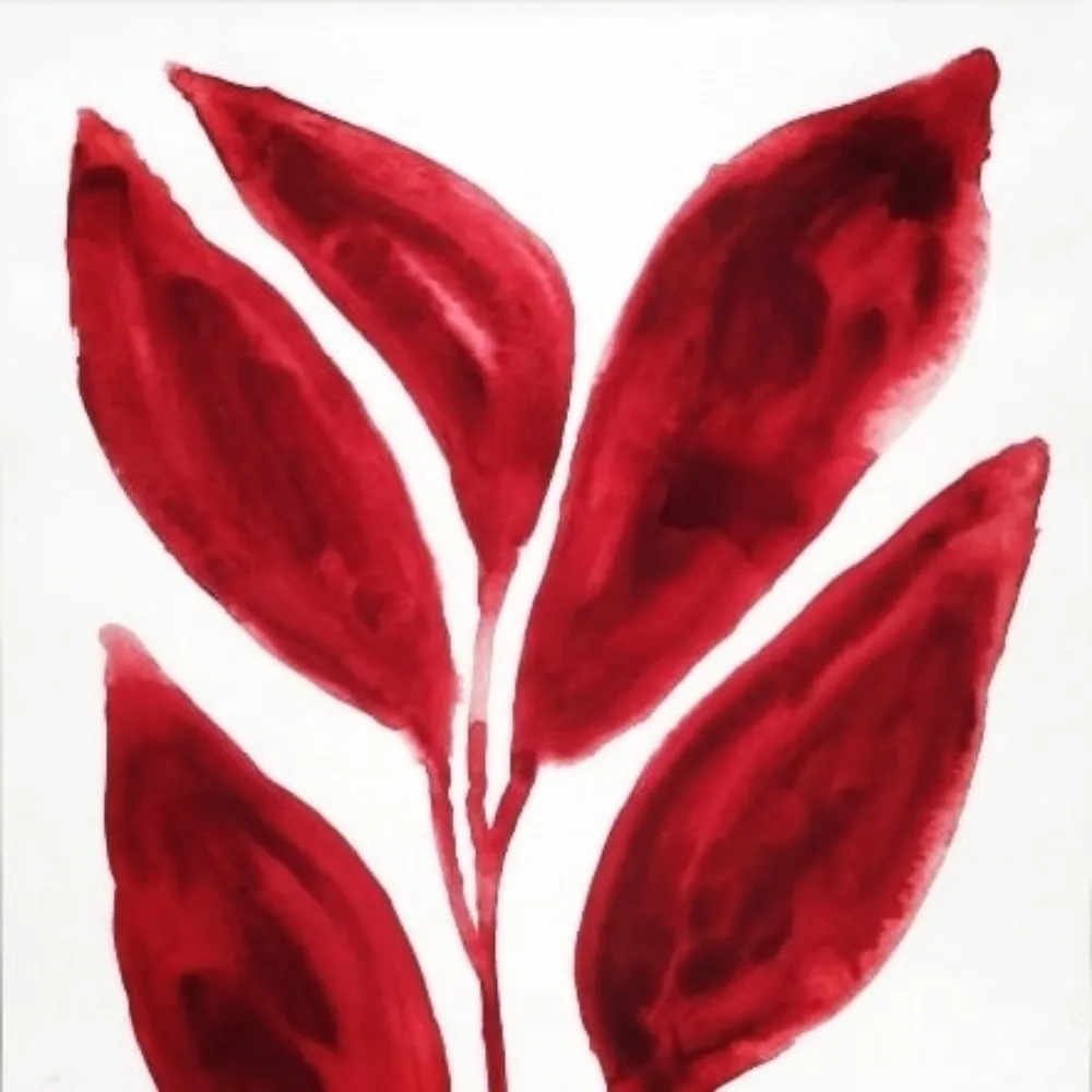 elissa4.bsky.social's profile picture