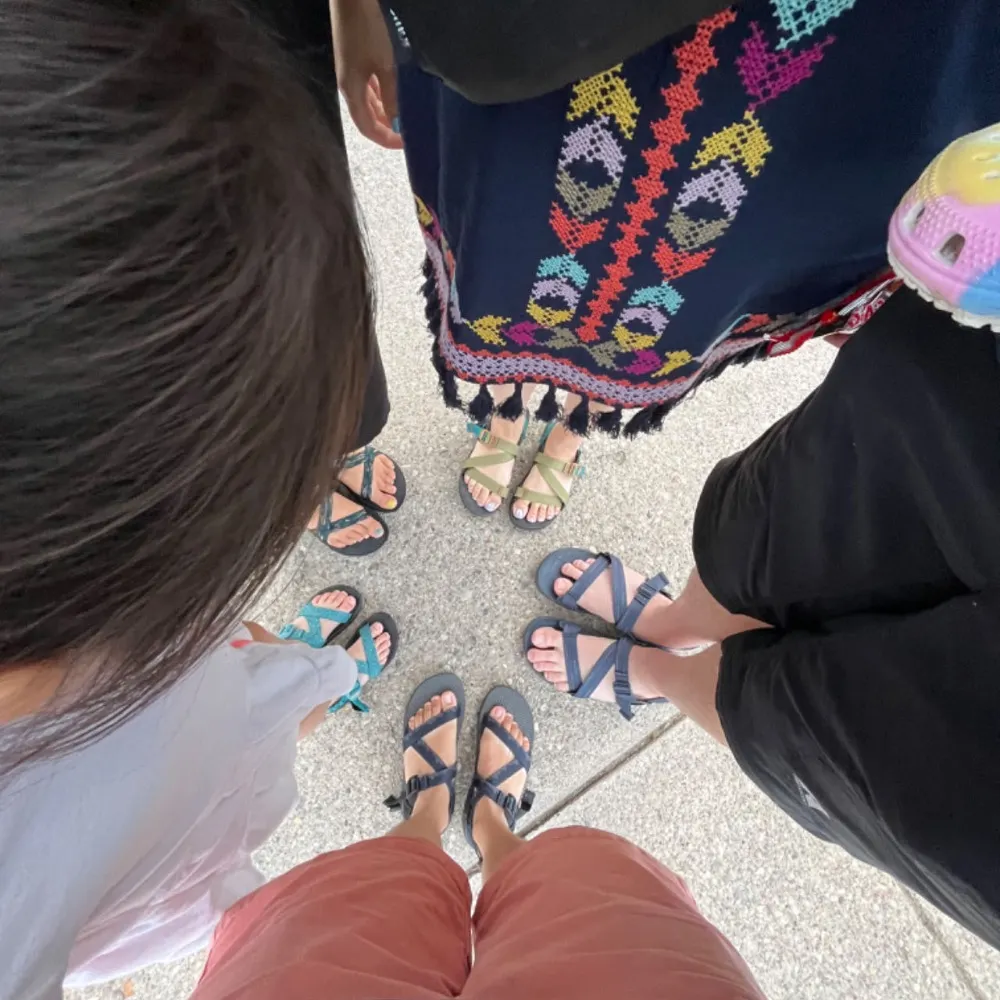 suyang.bsky.social's profile picture