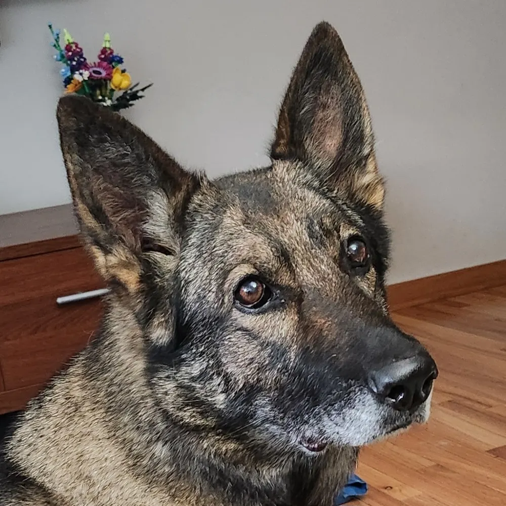 lily2748.bsky.social's profile picture