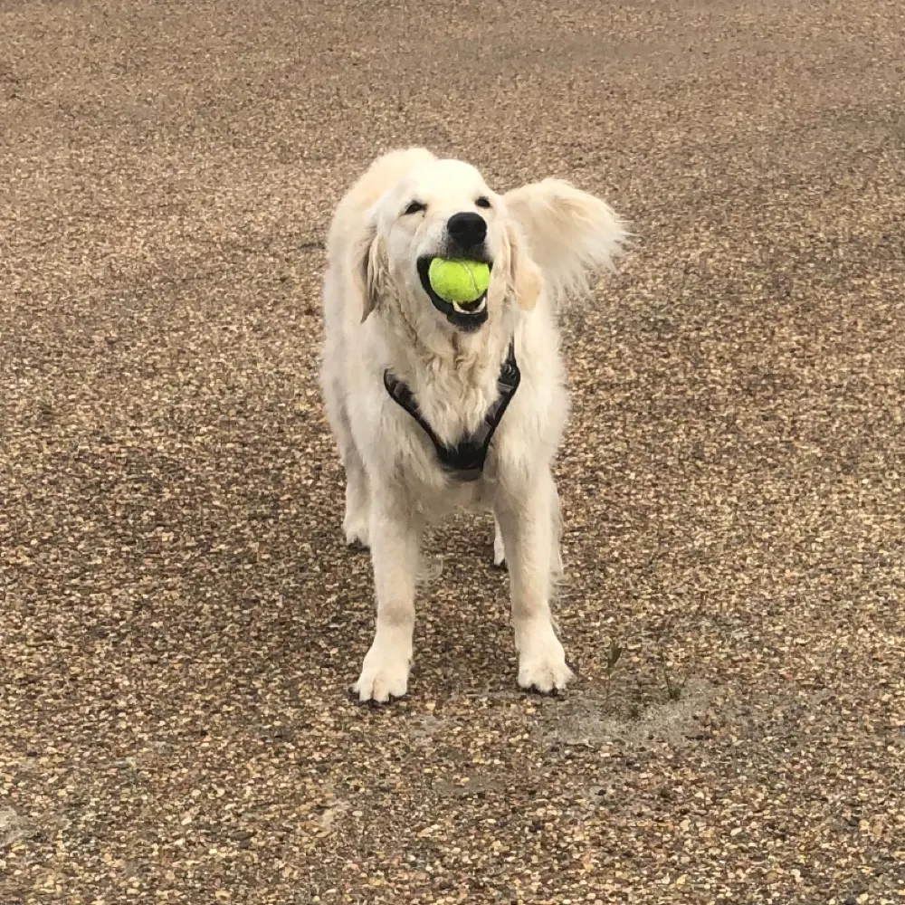 mugsygunson.bsky.social's profile picture