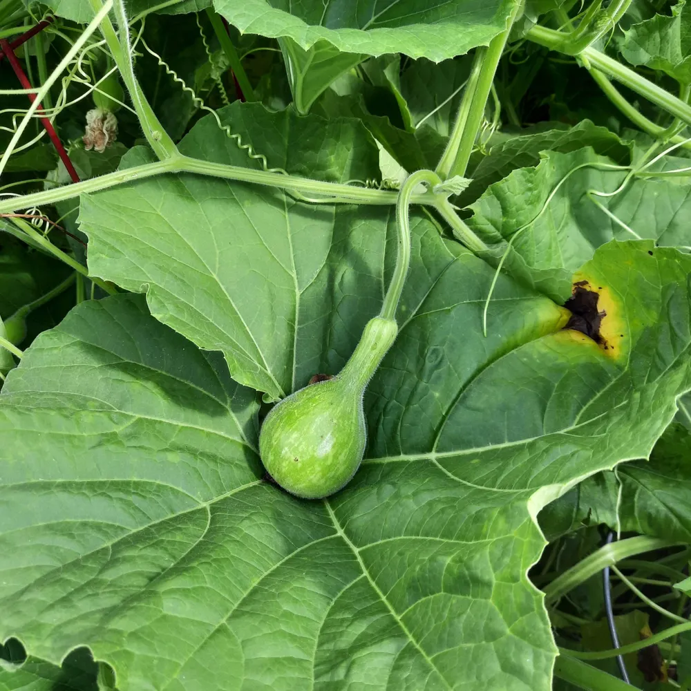 mjeffreson.bsky.social's profile picture