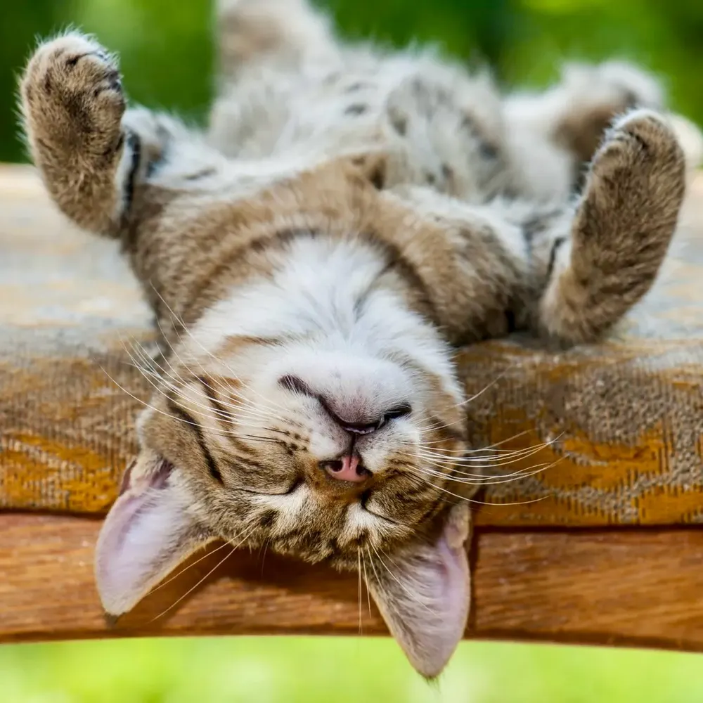 level90.bsky.social's profile picture