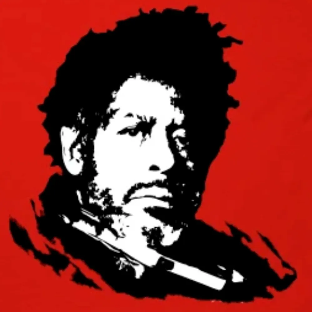 magnificocleary.bsky.social's profile picture