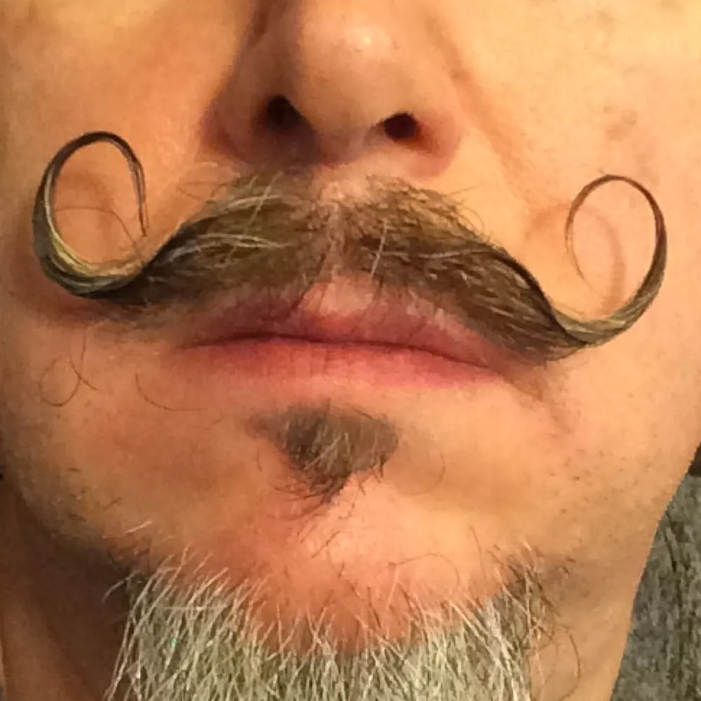 tempus.bsky.social's profile picture