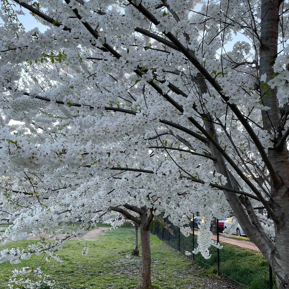 tonia00.bsky.social's profile picture