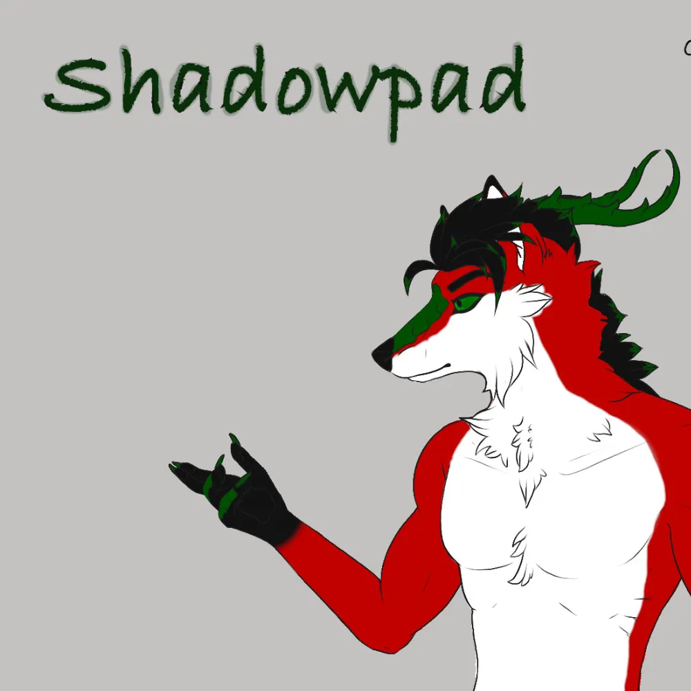 shadowpad1986.bsky.social's profile picture