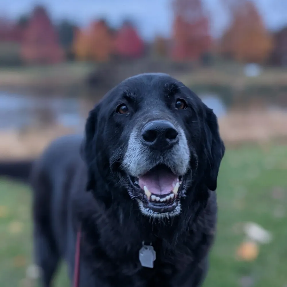 friedajparkin.bsky.social's profile picture