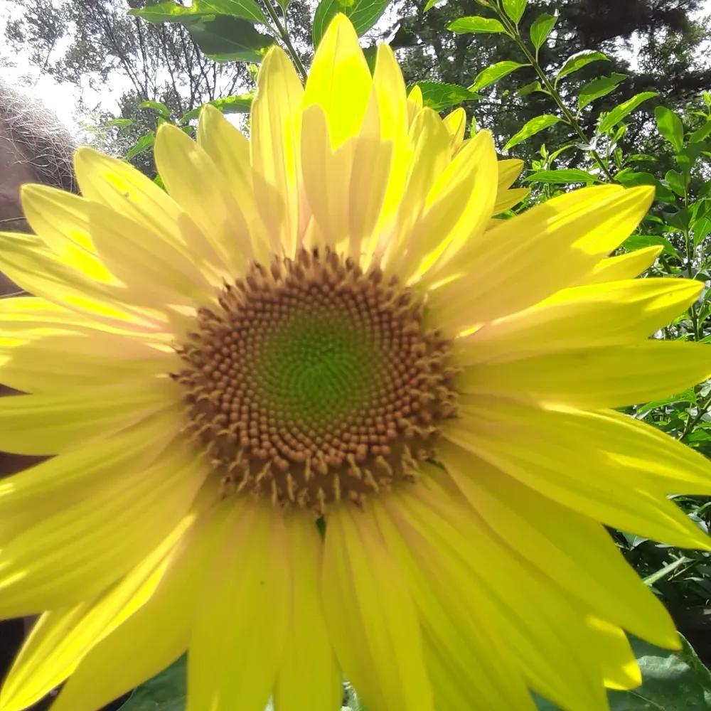 lindanoel8.bsky.social's profile picture