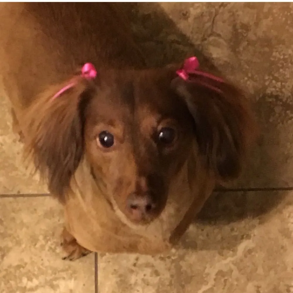 debbie156.bsky.social's profile picture