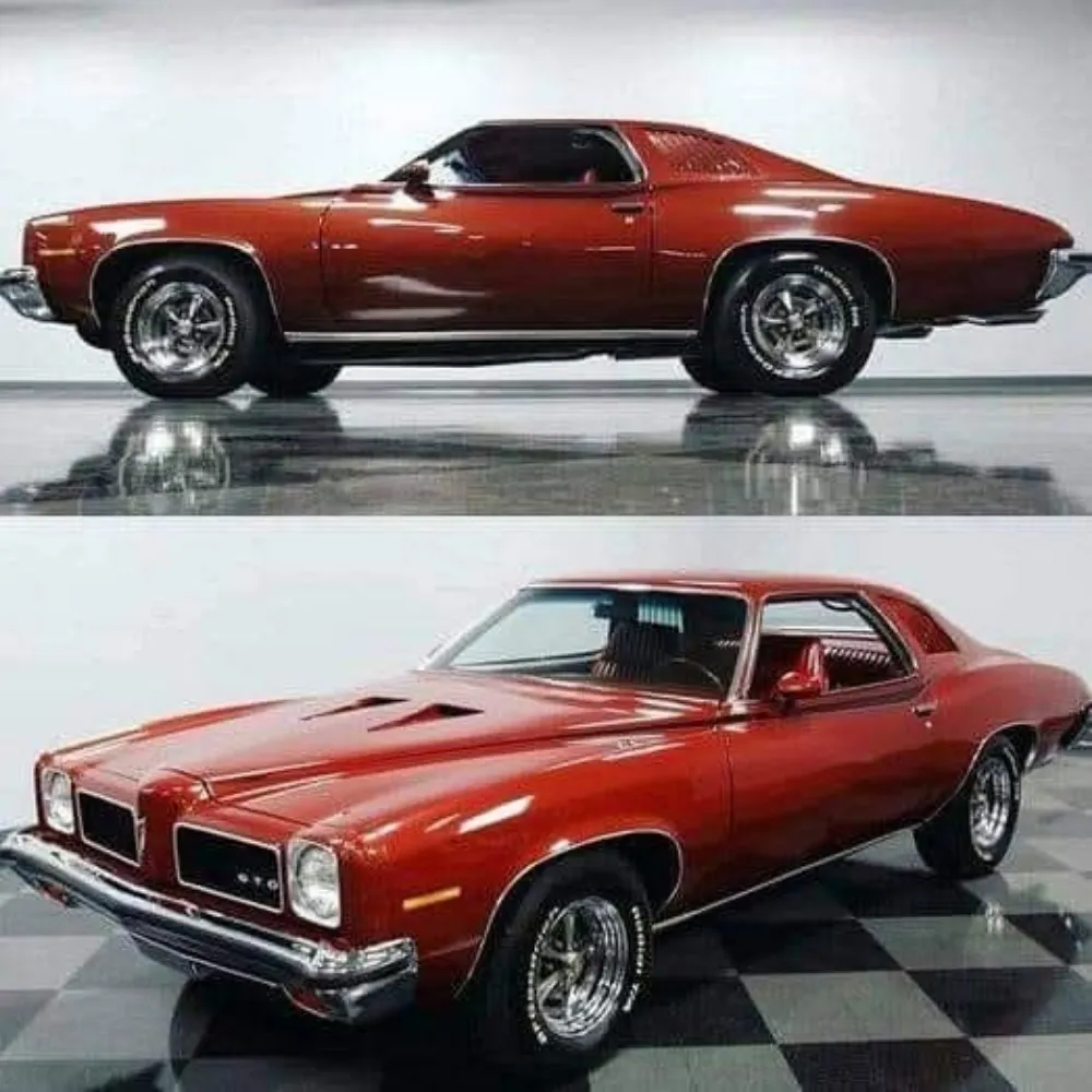 tcbrus1.bsky.social's profile picture