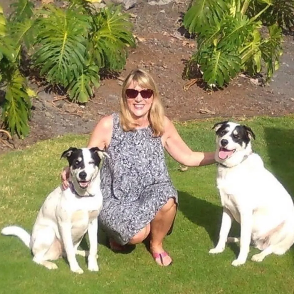 ksgold.bsky.social's profile picture