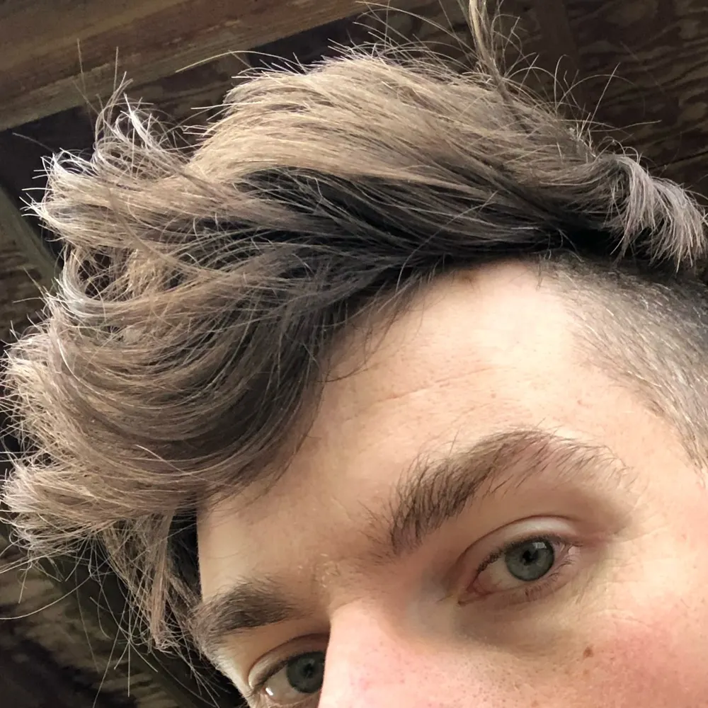 tomrip.bsky.social's profile picture