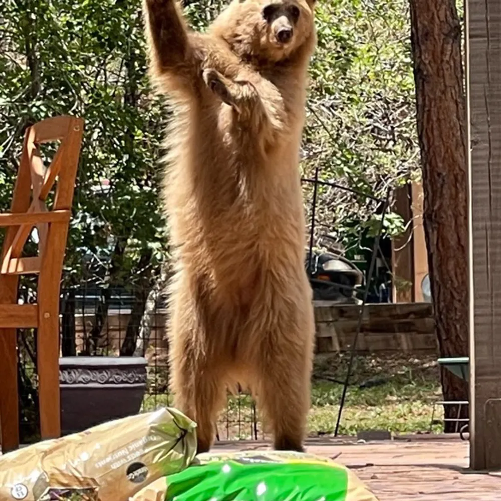 isonope.bsky.social's profile picture