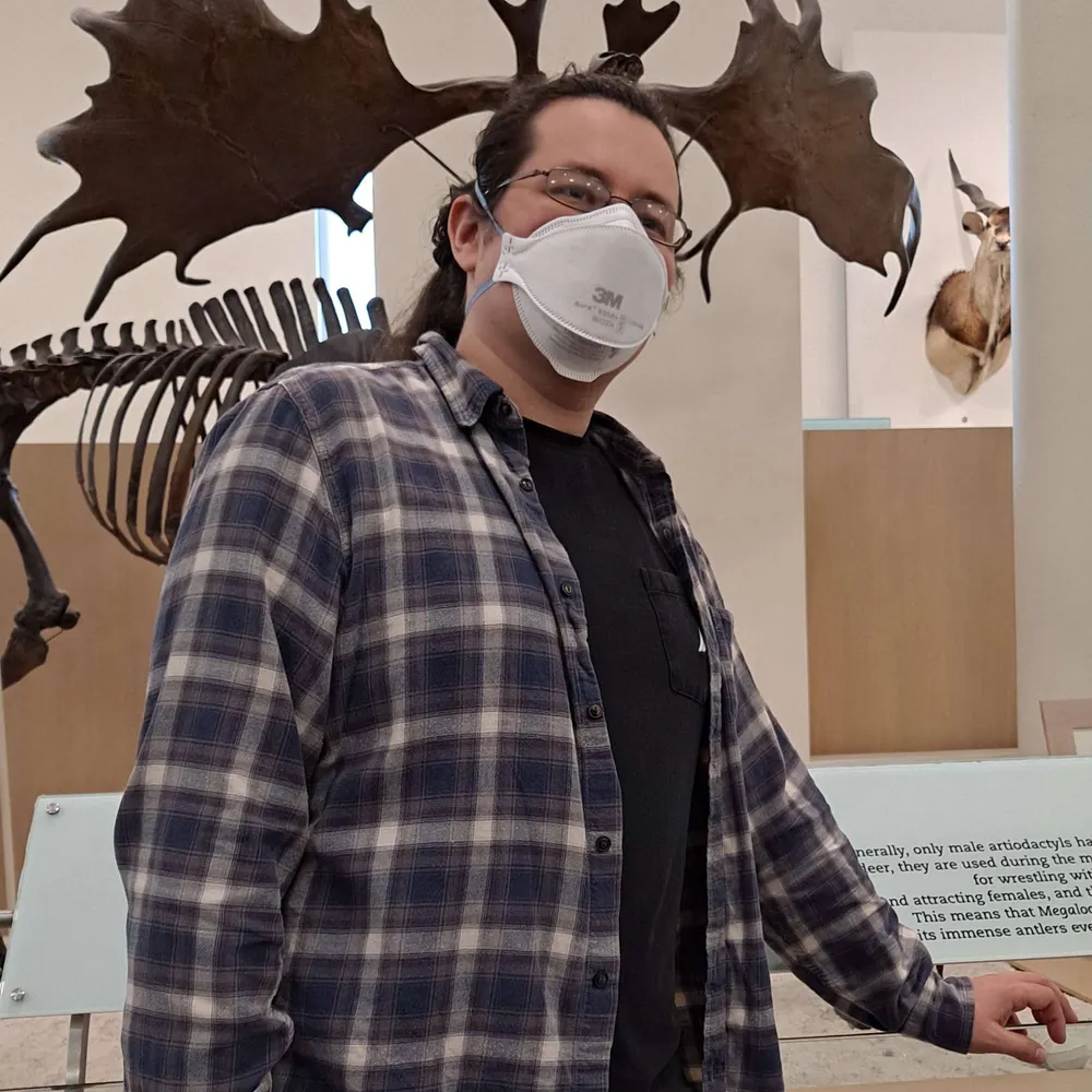 thehaarpist.bsky.social's profile picture