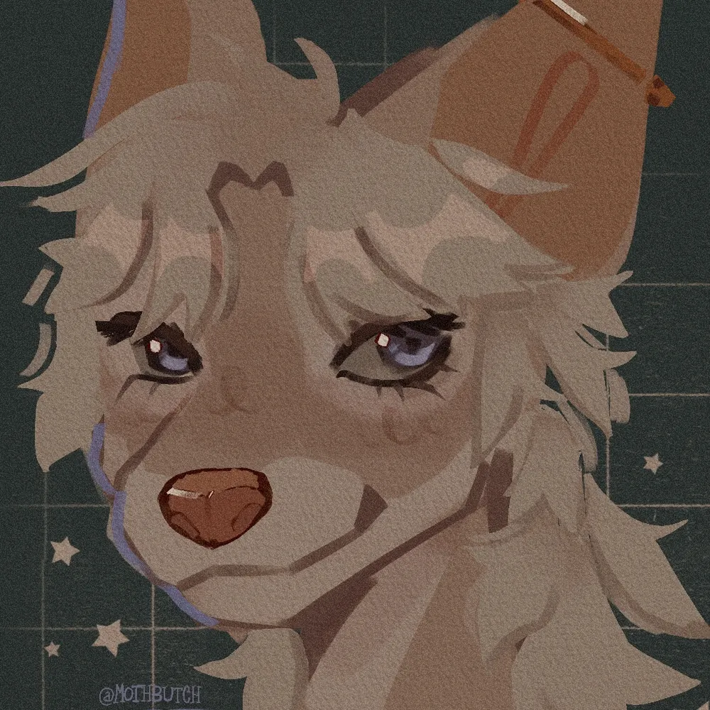 kykawaii.bsky.social's profile picture