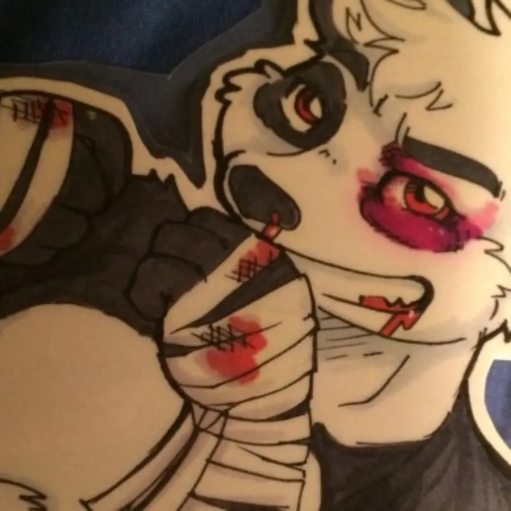 kopanda.bsky.social's profile picture