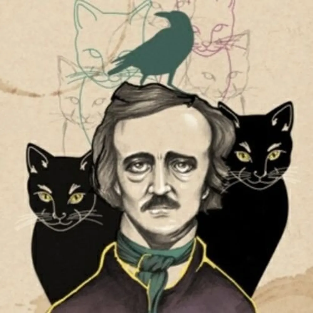 jimmythecat2.bsky.social's profile picture