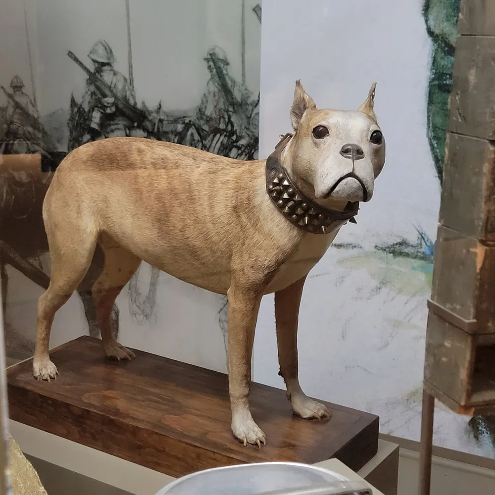 dancelittlesister.bsky.social's profile picture