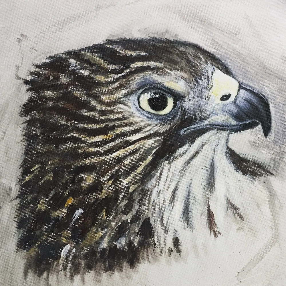 stephlbrock.bsky.social's profile picture