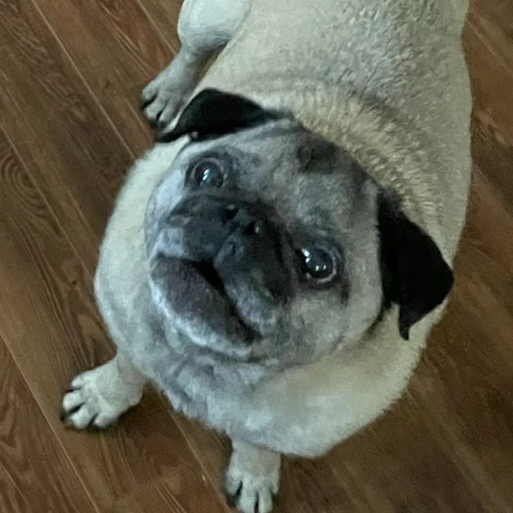 hexagonal.bsky.social's profile picture