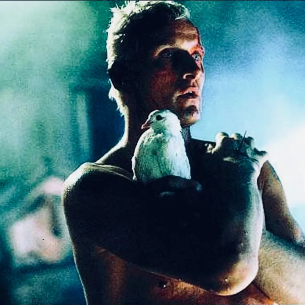 robotsheed.bsky.social's profile picture