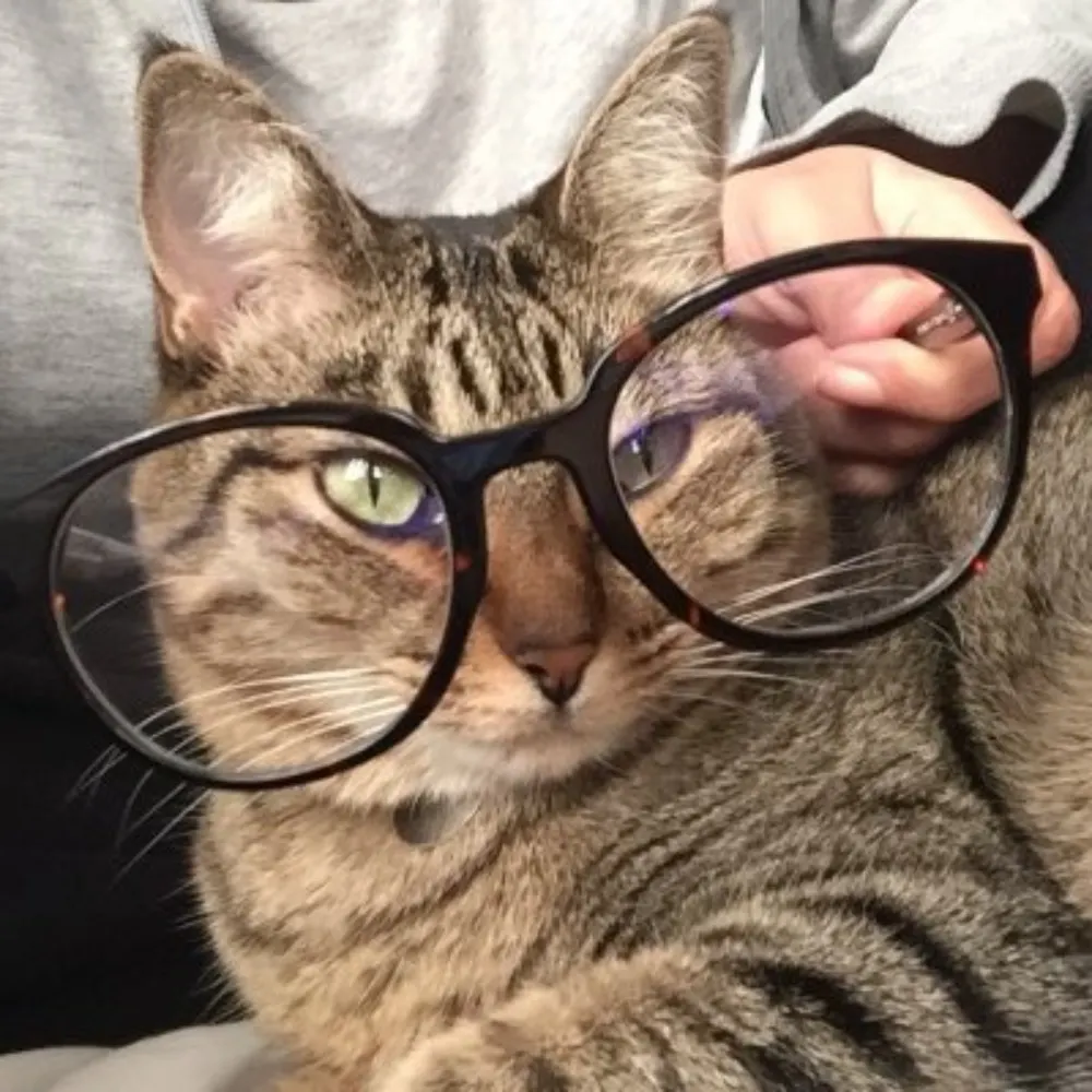 eefilp.bsky.social's profile picture