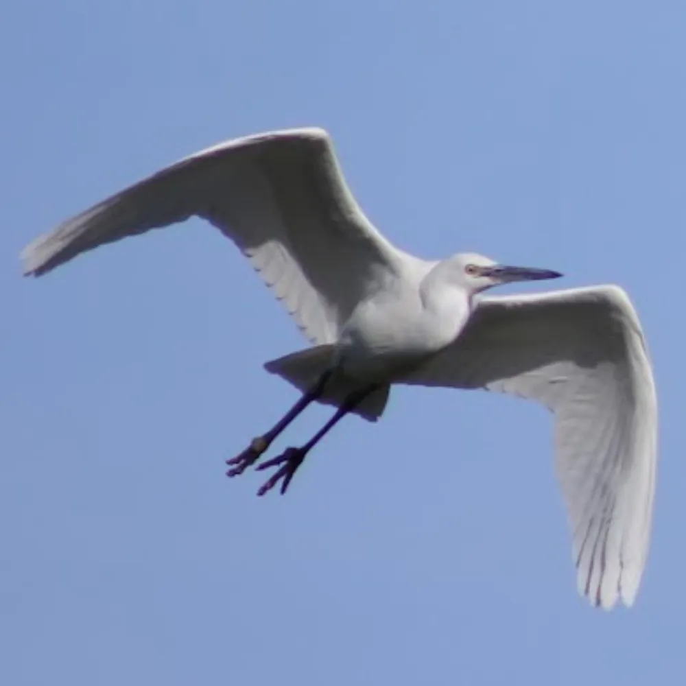 sjorford.bsky.social's profile picture