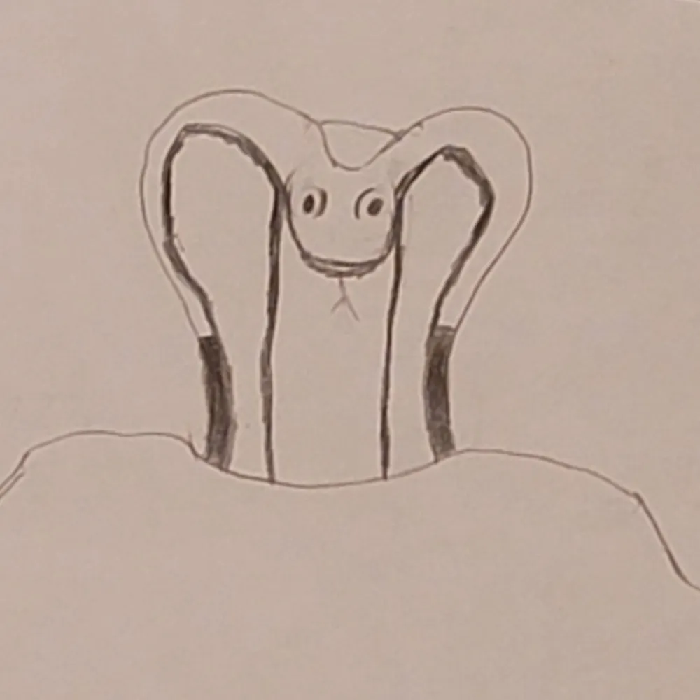 topatoju.bsky.social's profile picture