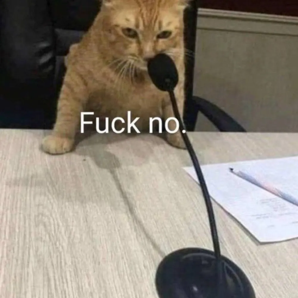 omg-wtf-gtfo.bsky.social's profile picture