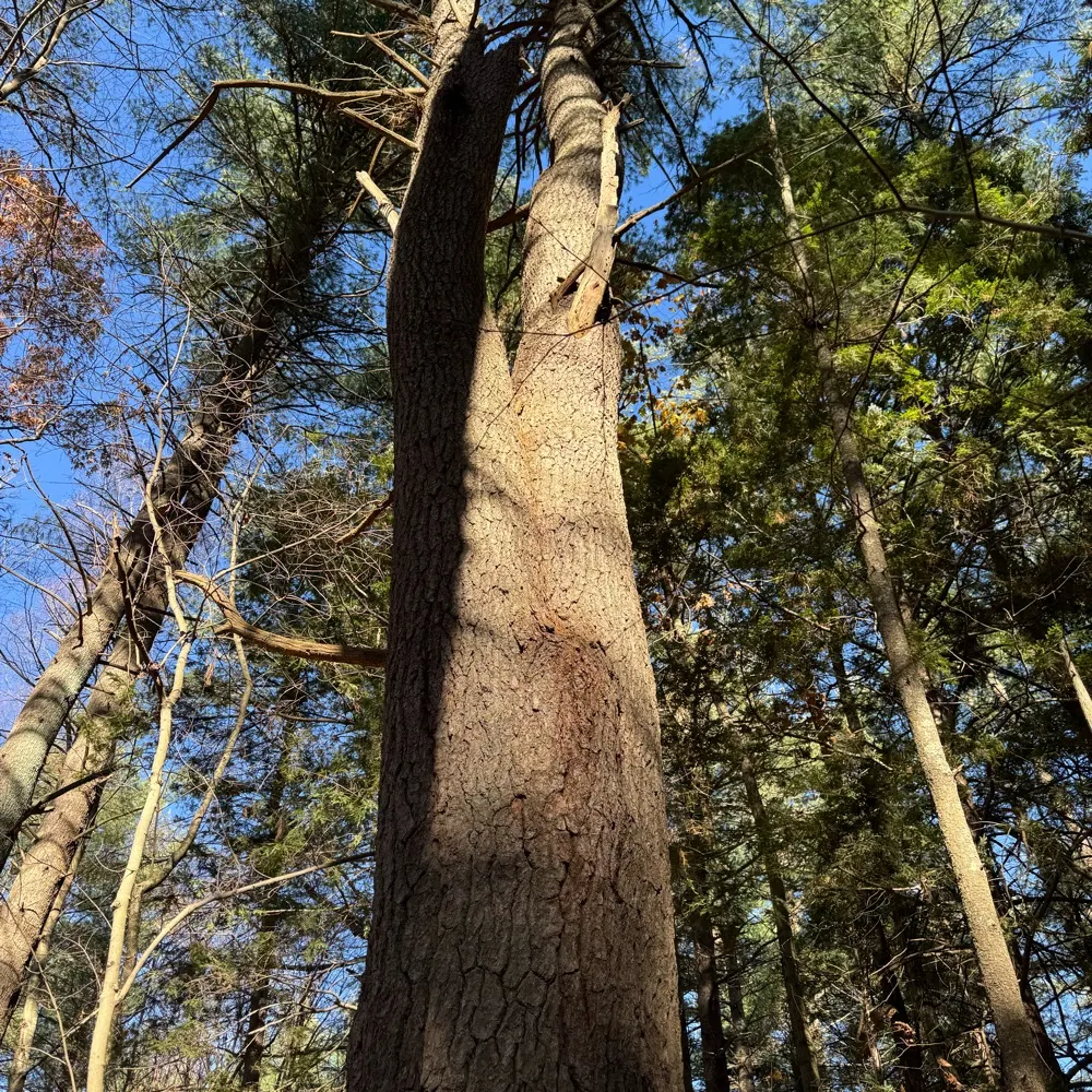 angsty61.bsky.social's profile picture