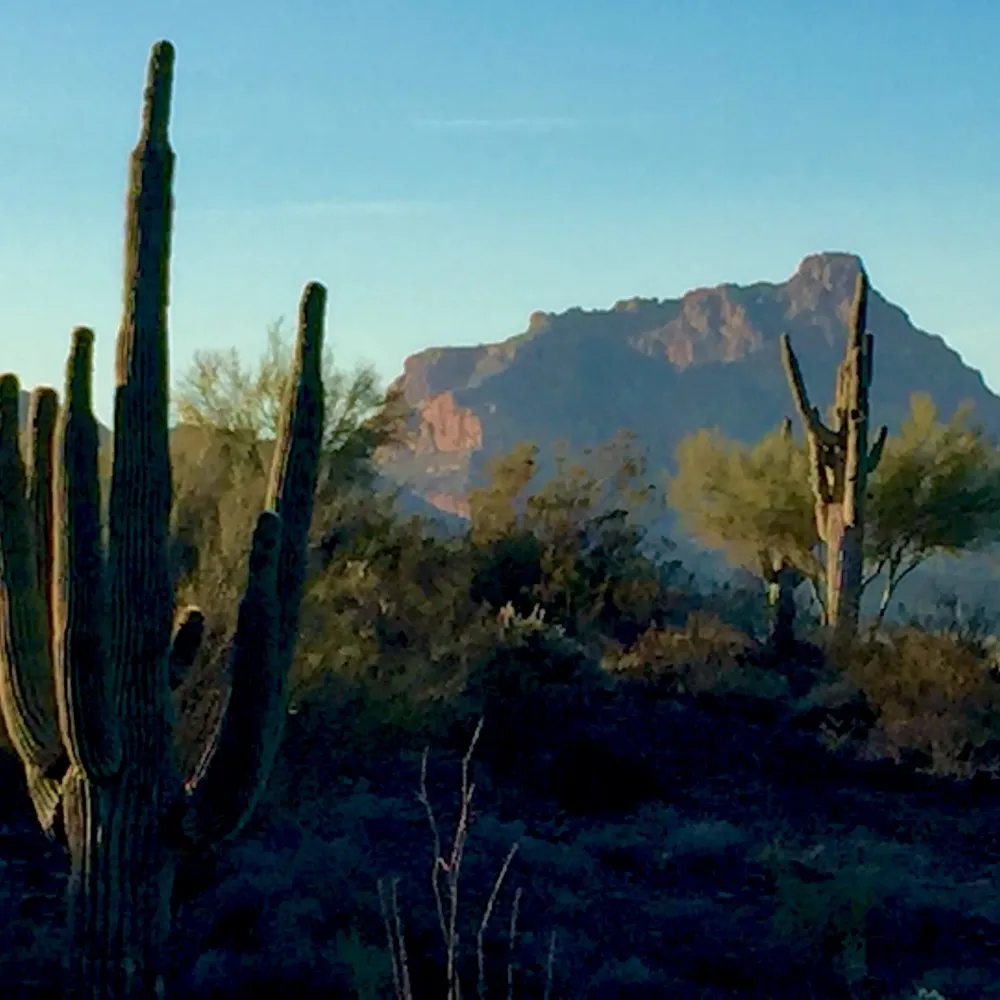 sddphoto.bsky.social's profile picture