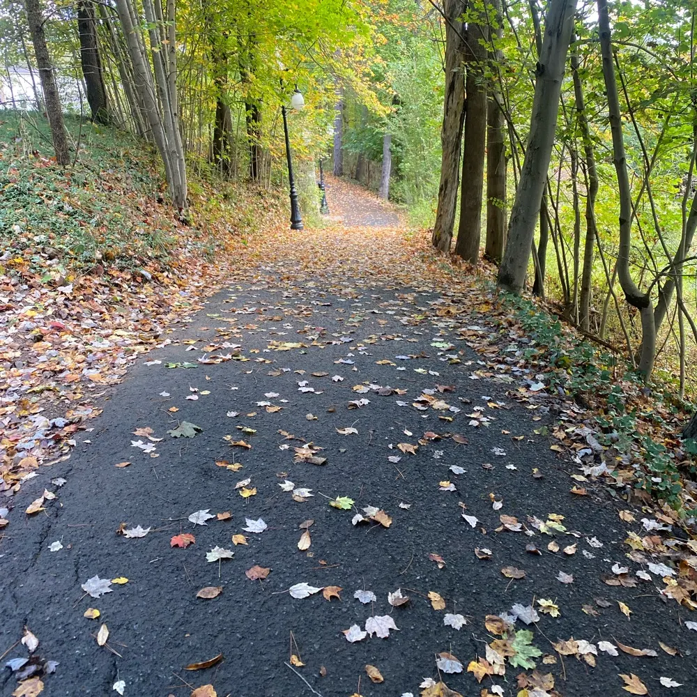 achedes.bsky.social's profile picture