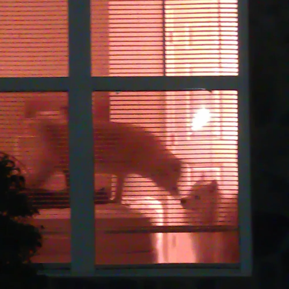 tesa44.bsky.social's profile picture