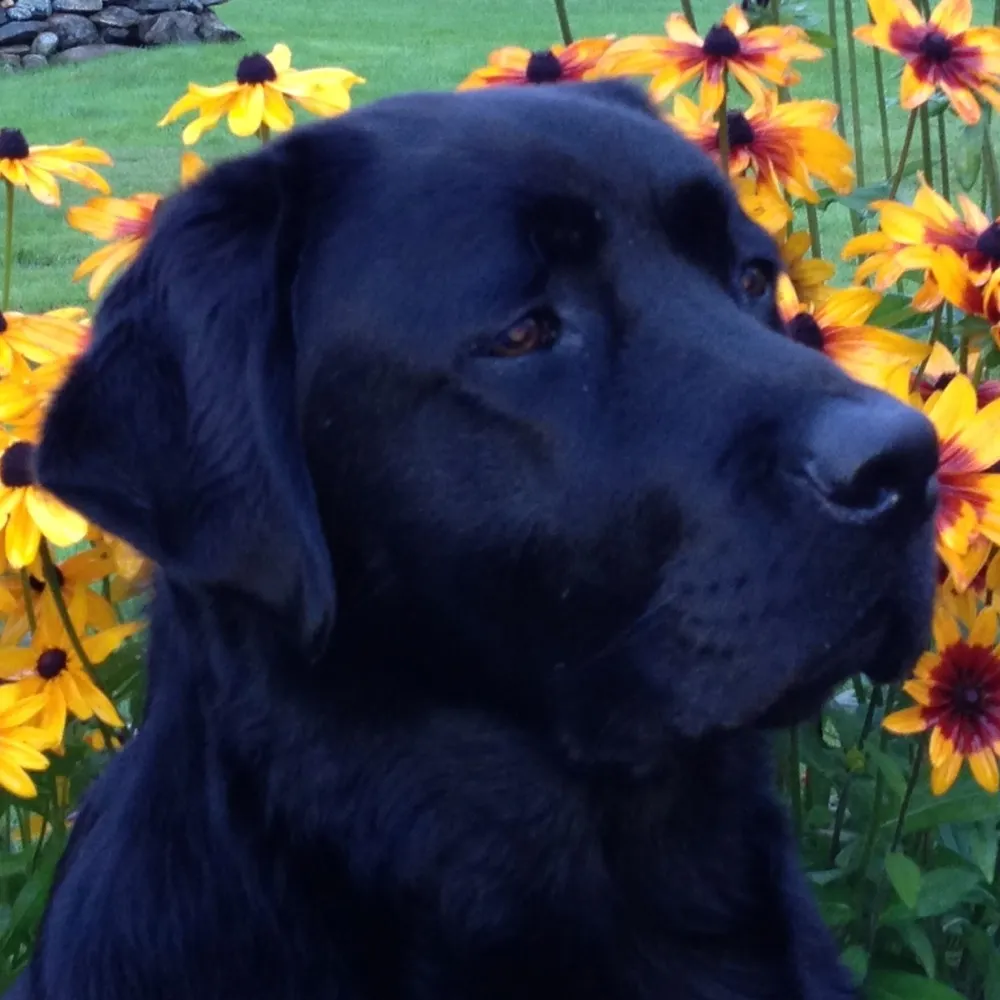 sea-water.bsky.social's profile picture