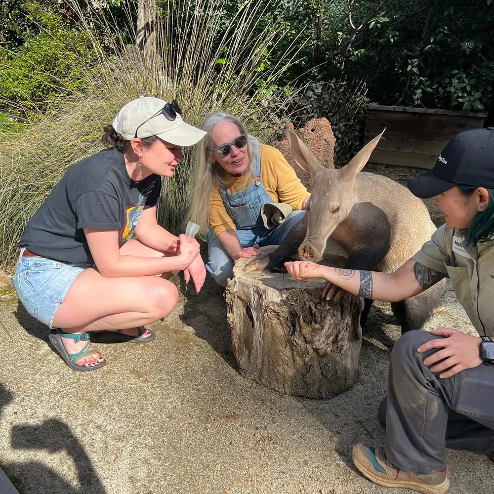 michaelannemurray.bsky.social's profile picture