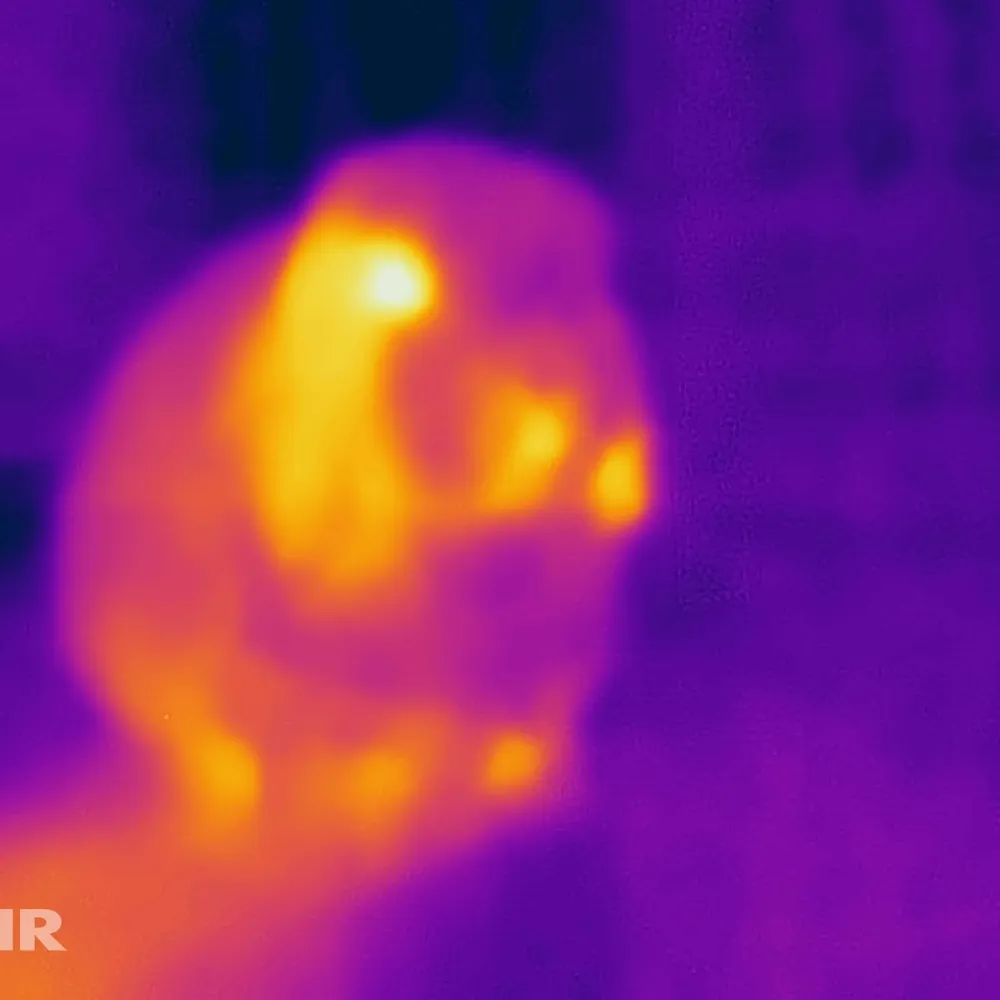 skateintraffic.bsky.social's profile picture