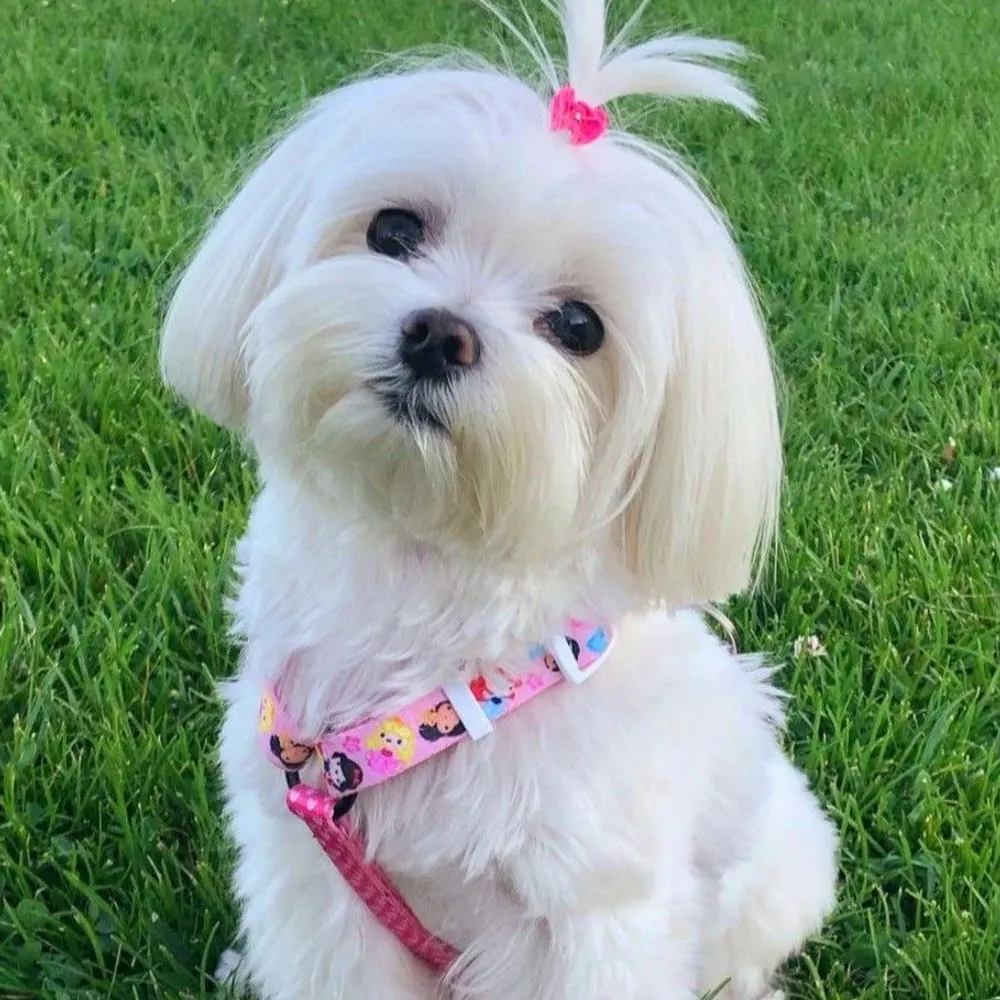 walkerlisaa186.bsky.social's profile picture