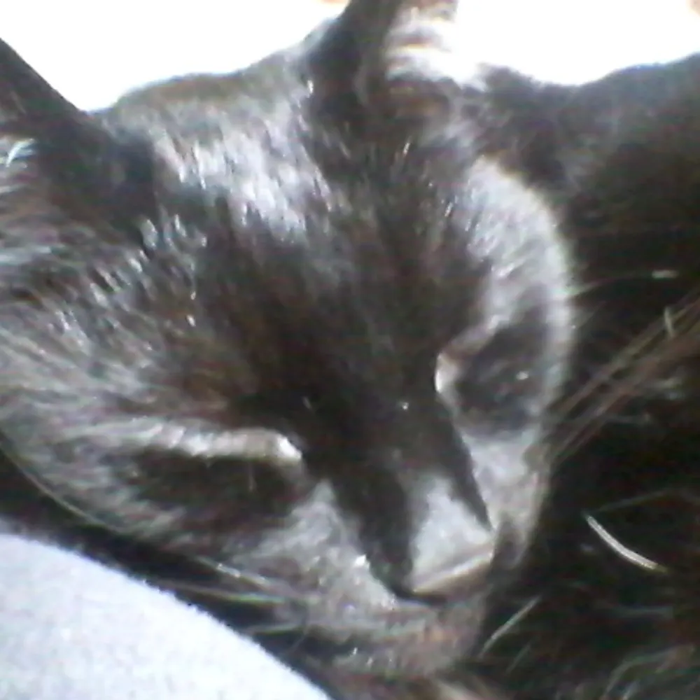 ita99.bsky.social's profile picture