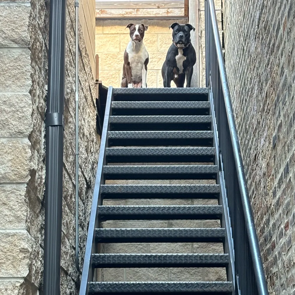 dpconnection87.bsky.social's profile picture