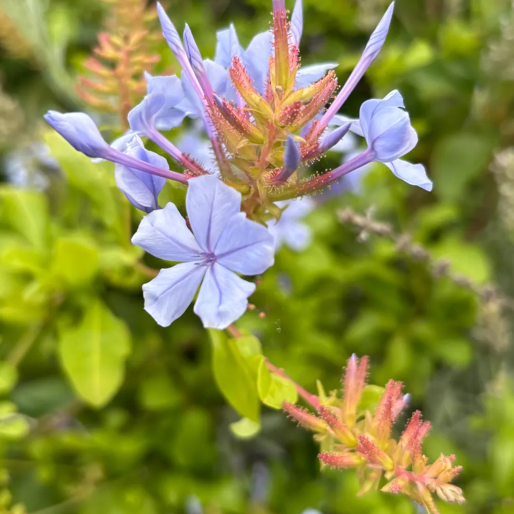 lakegirl-69.bsky.social's profile picture